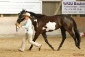 22-APHA HTB_019
